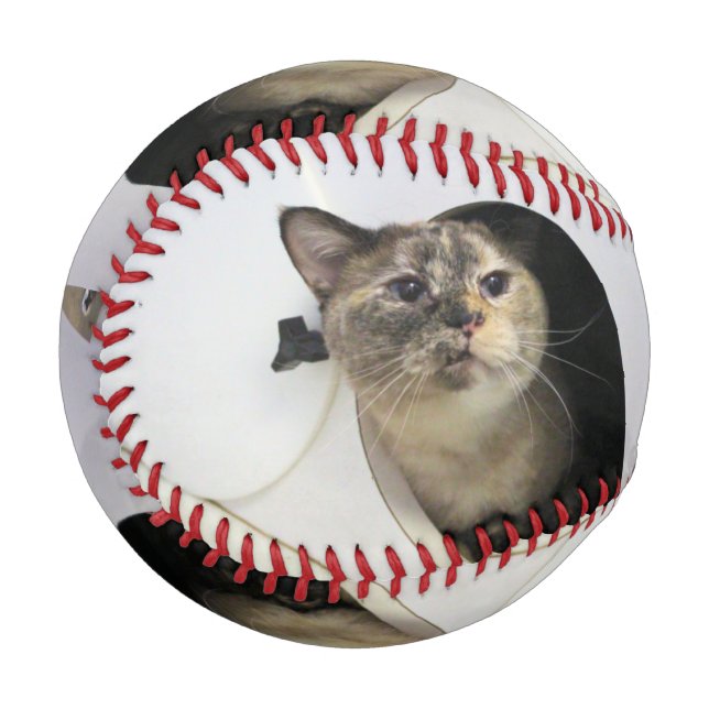 Katze Baseball (Vorderseite Links)