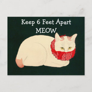 Katze Behaltend 6 Fuß Abstand Postkarte