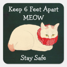 Katze Behaltend 6 Fuß Abstand