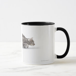 Katze bereit sich zu stürzen tasse