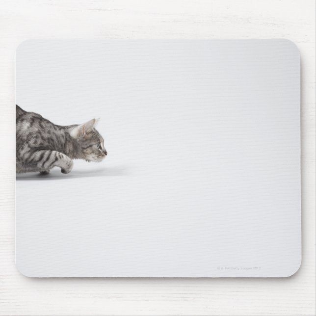 Katze bereit zum Ausstoßen Mousepad (Vorne)