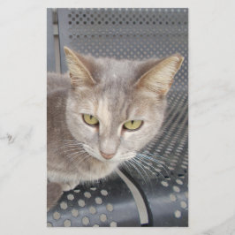 Katze Briefpapier