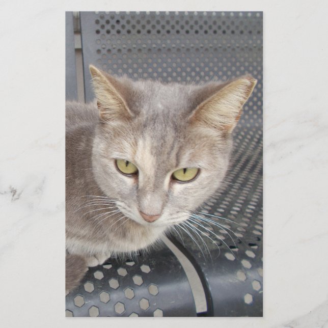 Katze Briefpapier (Vorderseite)