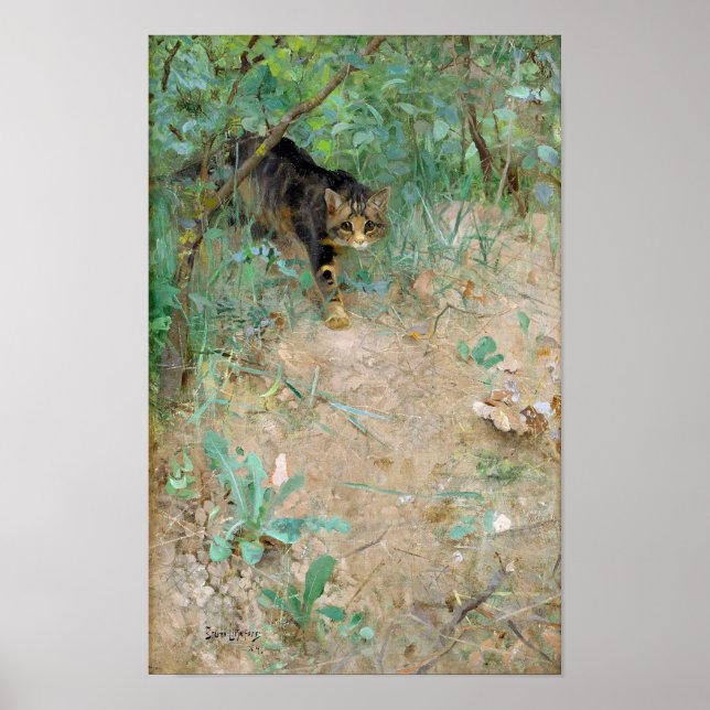 Katze, Bruno Liljefors Poster (Vorne)