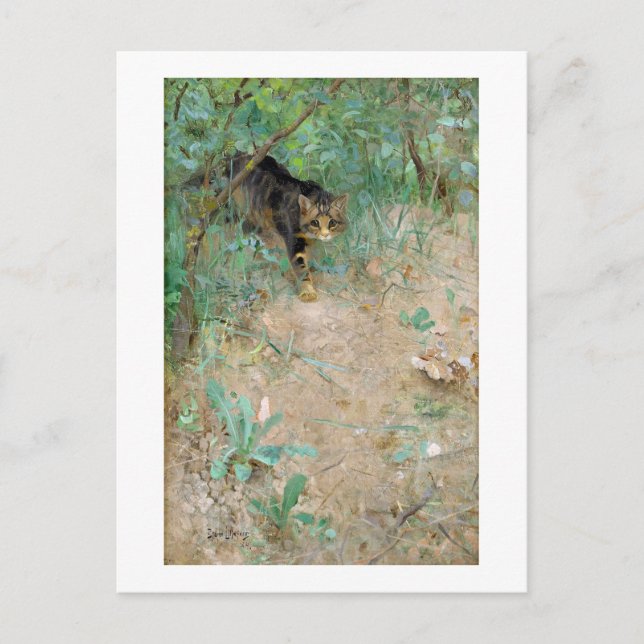 Katze, Bruno Liljefors Postkarte (Vorderseite)