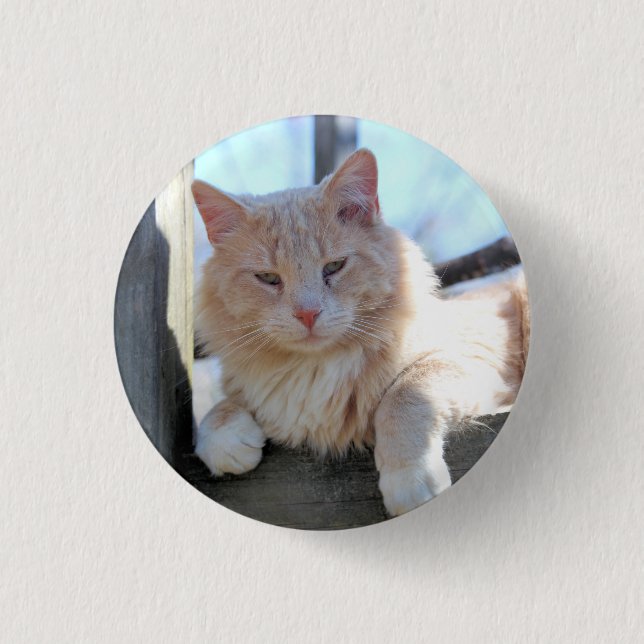 Katze Button (Vorderseite)