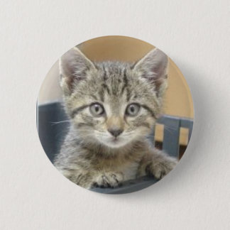 Katze Button