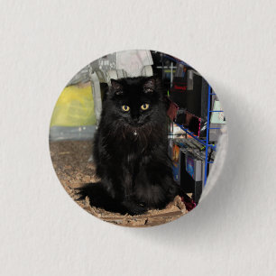 Katze Button