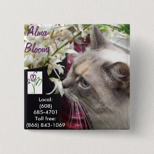 Katze Button