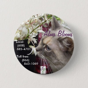 Katze Button