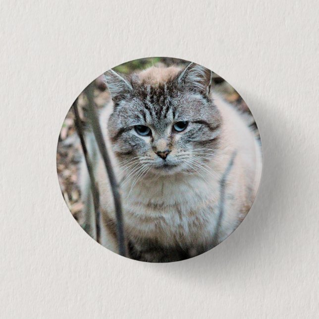 Katze Button (Vorderseite)