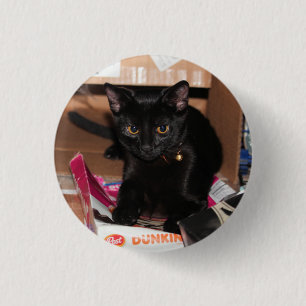 Katze Button