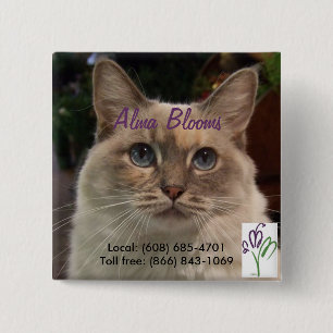 Katze Button