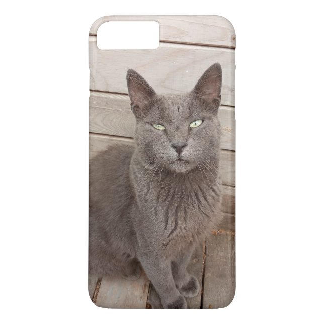 Katze Case-Mate iPhone Hülle (Rückseite)