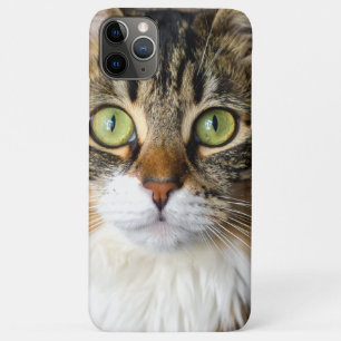 Katze Case-Mate iPhone Hülle