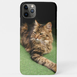 Katze Case-Mate iPhone Hülle