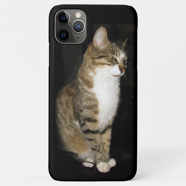 Katze Case-Mate iPhone Hülle (Rückseite)