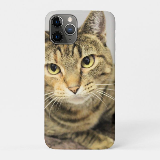 Katze Case-Mate iPhone Hülle (Rückseite)
