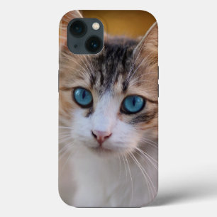 Katze Case-Mate iPhone-Hülle iPhone Hülle