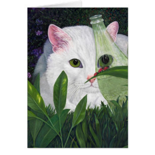 Katze, Cola Flasche und Ladybugs