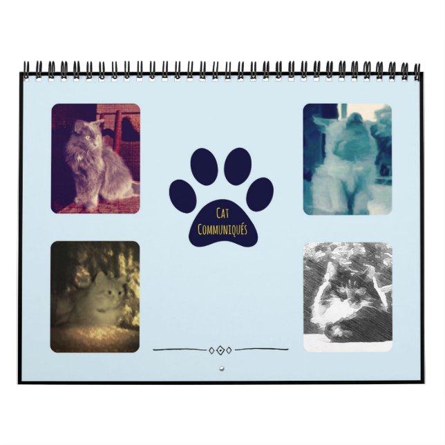 Katze Communiqués Kalender (Titelbild)