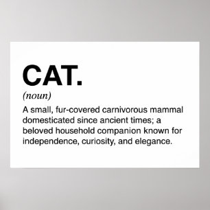 Katze Definition Substantiv Lustiger Katzenliebhab Poster