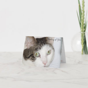 Katze - Denken Sie an Sie Karte