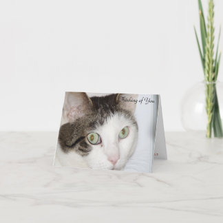 Katze - Denken Sie an Sie Karte