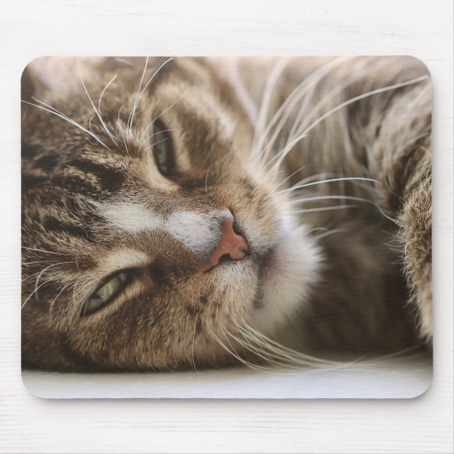 Katze, der Hangover, Katzenauge Mousepad (Vorne)