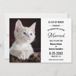 Katze des Ehrenamtes Foto Hochzeit speichern das D Save The Date