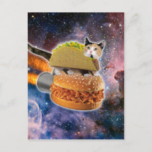 Katze, die auf einem Rocketburger unterwegs ist Postkarte