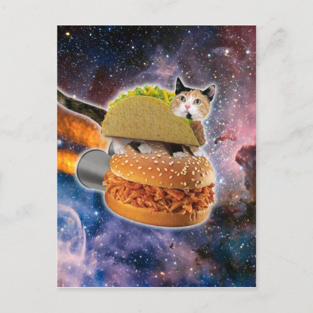 Katze, die auf einem Rocketburger unterwegs ist Postkarte (Vorderseite)