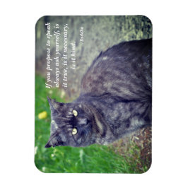 Katze, die auf einem Spaziergang Motivierend buddh Magnet