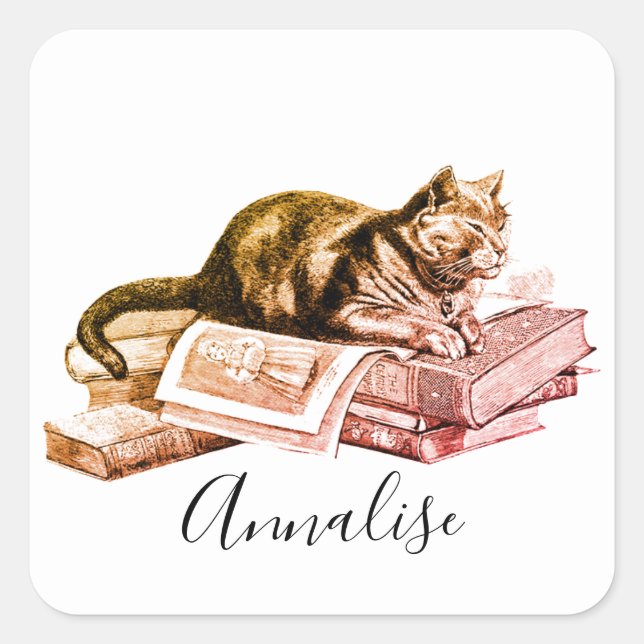 Katze, die auf einem Stapel Bücher liegt Quadratischer Aufkleber (Vorderseite)