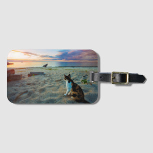 Katze, die auf einem Strand sitzt Gepäckanhänger