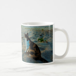 Katze, die auf einem Strand sitzt Kaffeetasse