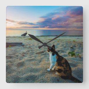 Katze, die auf einem Strand sitzt Quadratische Wanduhr