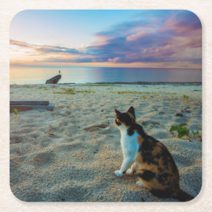 Katze, die auf einem Strand sitzt Rechteckiger Pappuntersetzer