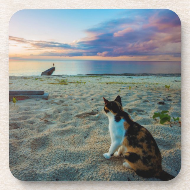 Katze, die auf einem Strand sitzt Untersetzer (Vorderseite)