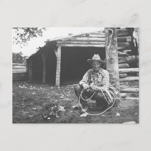 Katze, die aus einer Kaffedose heraus isst Postkarte (Vorderseite)