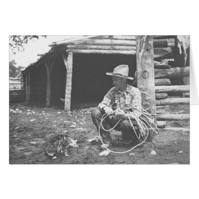 Katze, die aus einer Kaffedose mit einer Cowboyuhr (Vorderseite (Horizontal))