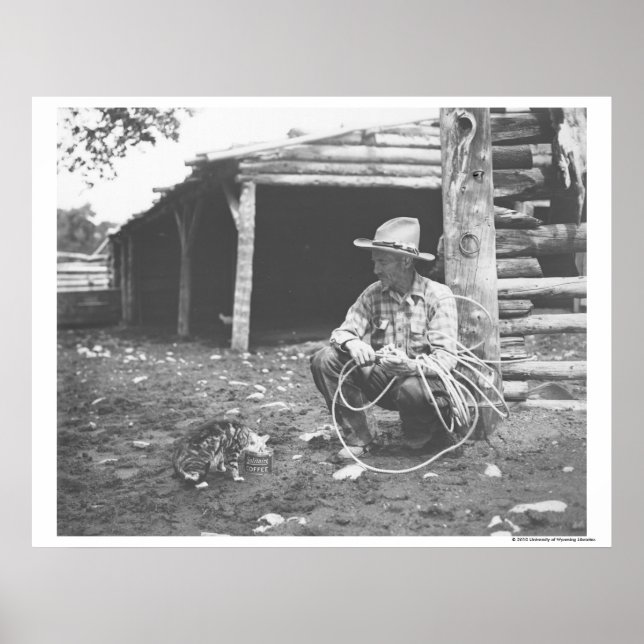 Katze, die aus einer Kaffeemaschine isst. Poster (Vorne)