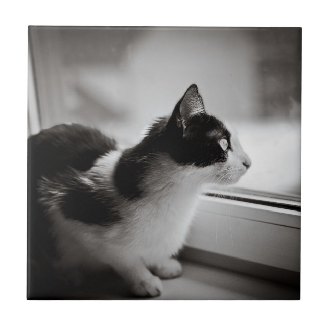 Katze, die draußen schaut fliese (Vorderseite)