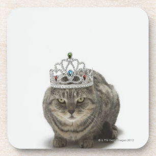 Katze, die eine Tiara trägt Getränkeuntersetzer
