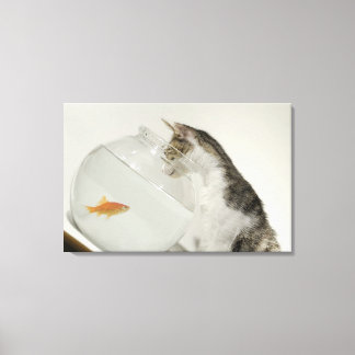 Katze, die Fische in Fischschüssel ansieht Leinwanddruck