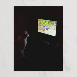 Katze, die ihre Bildschirmzeit liebt Postkarte