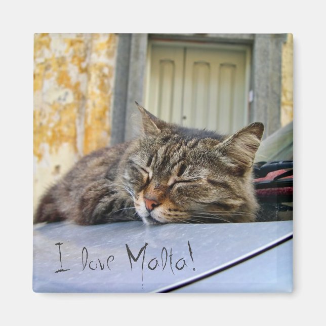 Katze, die in einem Auto schläft Magnet (Vorne)