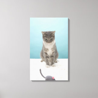 Katze, die Spielzeugmaus auf Teppich anschaut Leinwanddruck