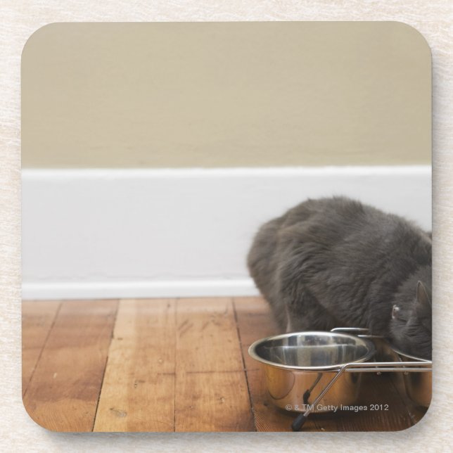 Katze, die von der Schüssel isst Getränkeuntersetzer (Vorderseite)