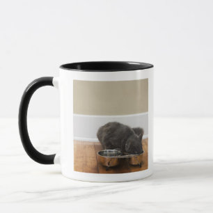 Katze, die von der Schüssel isst Tasse